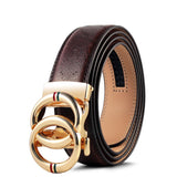 Marrom/Dourado Claro